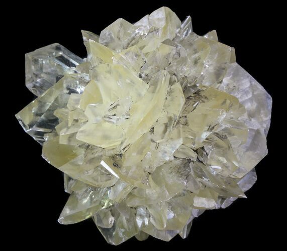 Twinned Selenite Crystals (Fluorescent) - Red River Floodway #64530